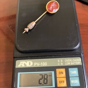 Gold and Red Cameo Brooch Pin